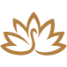 大羽华裳缘起